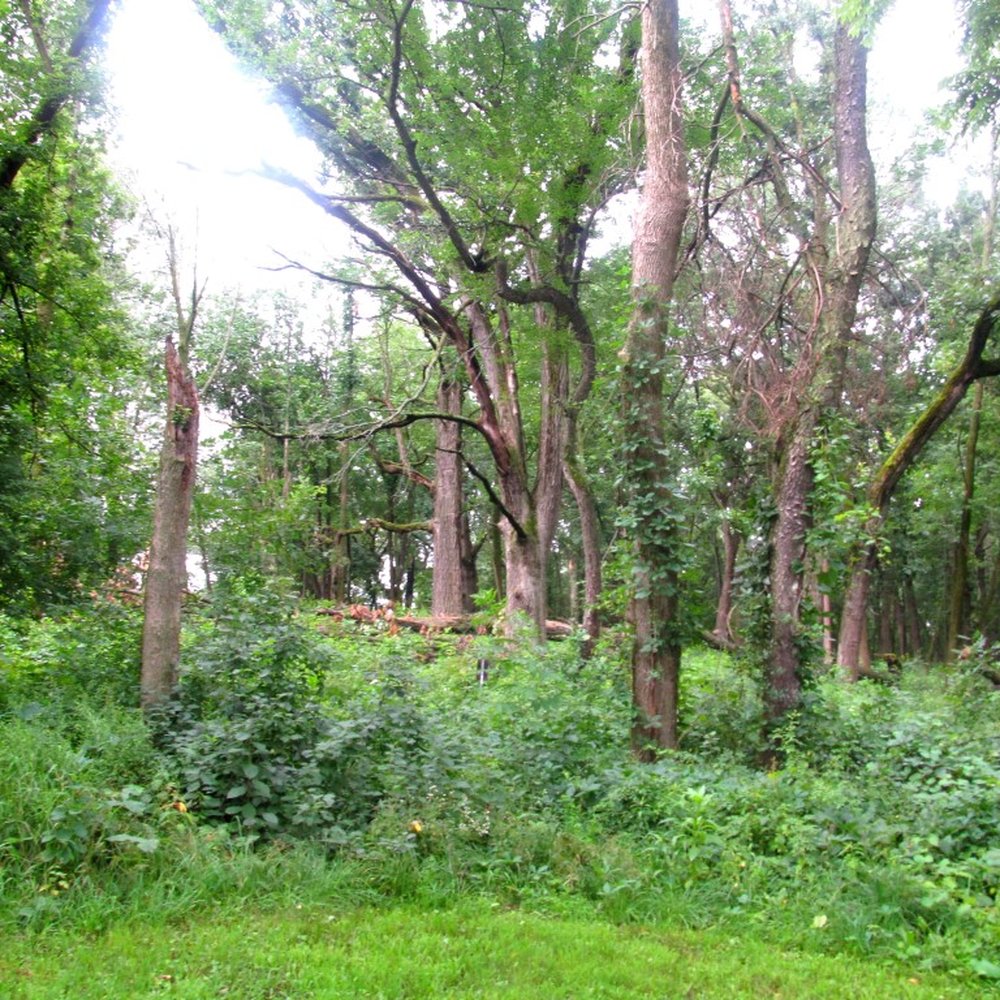 Crabtree Nature Center - Trails - Hiking Near Me - Barrington, Illinois Crabtree Nature Center - Trails - Hiking Near Me - Barrington, Illinois
