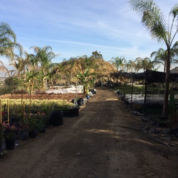 Quality Growers - Assorted Plants - Nurseries & Gardening Near Me - Corona, California Quality Growers - Assorted Plants - Nurseries & Gardening Near Me - Corona, California