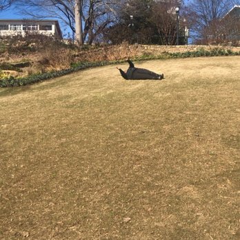 Falls Park - She's going to kill me for this - Venues & Event Spaces Near Me - Greenville, South Carolina Falls Park - She's going to kill me for this - Venues & Event Spaces Near Me - Greenville, South Carolina