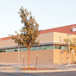 MCH ProCare Healthy Kids Clinic