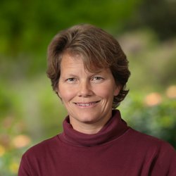 Bethelen L Johnson, M.D