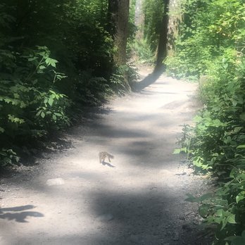 Rattlesnake Mountain - Hiking Near Me Rattlesnake Mountain - Hiking Near Me