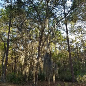 Lake Seminole Park - Parks Near Me - Seminole, Florida