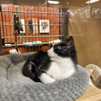 PetSmart - Pet Stores Near Me - West Covina, California