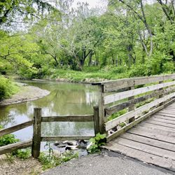 Greenbelt Park - Green belt trail