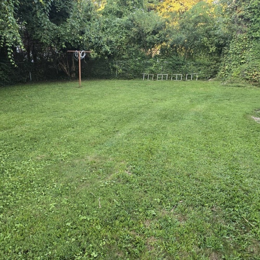 Custom Lawn Manicuring And Design - Backyard view! - Landscape Architects or Designers Near Me - Hampton, Virginia