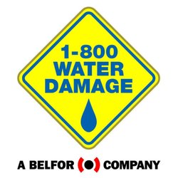 1-800 WATER DAMAGE of Prescott & North Scottsdale - 1-800 water damage logo