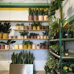 Plant Shop