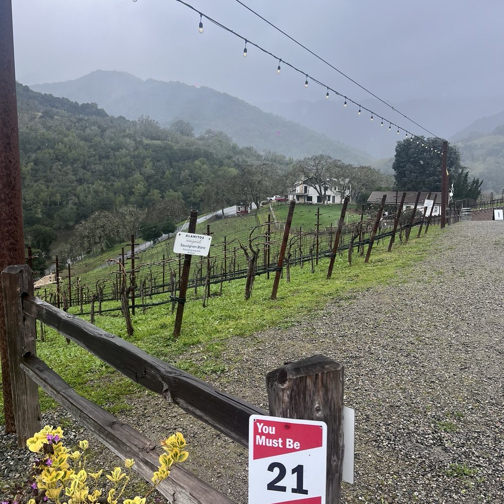 Alamitos Vineyards - Beautiful view of the vineyards and informative signage on when they were first grown. - Wine Tasting Room Near Me - San Jose, California