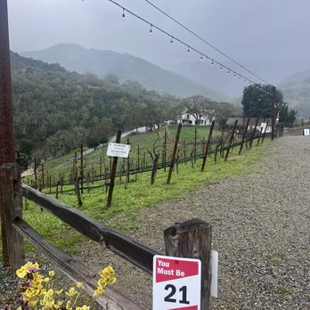 Alamitos Vineyards - Beautiful view of the vineyards and informative signage on when they were first grown. - Wine Tasting Room Near Me - San Jose, California