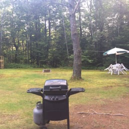 View of the backyard. View of the backyard.