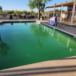 Green unsanitary pool