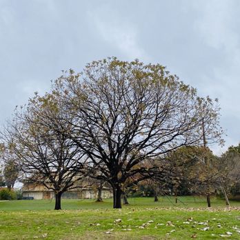 Lady Bird Lake - Hiking Near Me - Austin, Texas