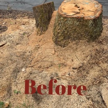 Bye Stump Bye - Tree Services Near Me - Lexington, Massachusetts Bye Stump Bye - Tree Services Near Me - Lexington, Massachusetts