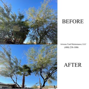 Arizona Yard Maintenance - Tree Services Near Me Arizona Yard Maintenance - Tree Services Near Me