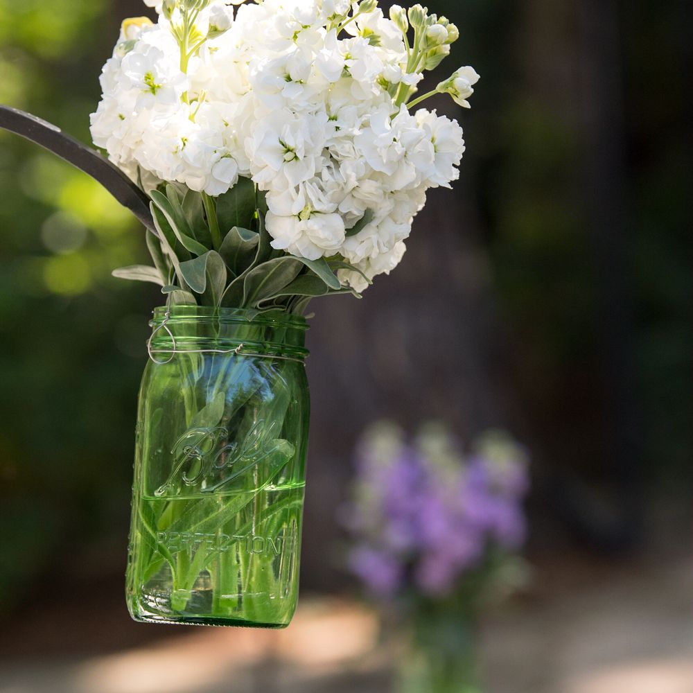 Trader Joe's - Flowers from Trader Joes for our June wedding! - Grocery Near Me - Folsom, California Trader Joe's - Flowers from Trader Joes for our June wedding! - Grocery Near Me - Folsom, California
