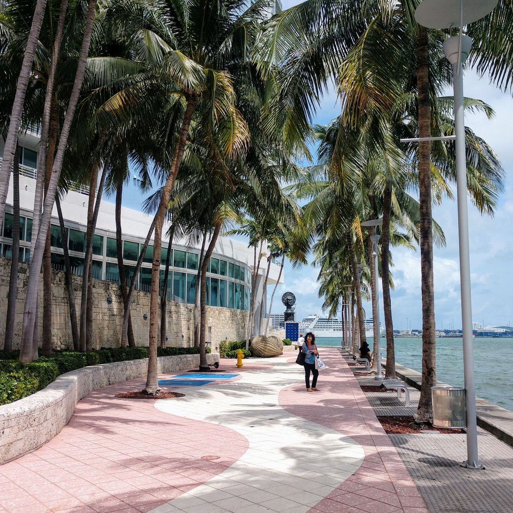 Il Gabbiano - people walking along a walkway lined with palm trees - Italian Near Me - Miami, Florida Il Gabbiano - people walking along a walkway lined with palm trees - Italian Near Me - Miami, Florida