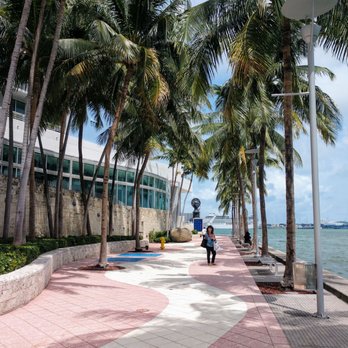 Il Gabbiano - people walking along a walkway lined with palm trees - Italian Near Me - Miami, Florida Il Gabbiano - people walking along a walkway lined with palm trees - Italian Near Me - Miami, Florida