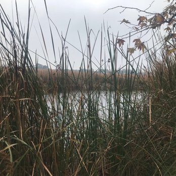 Buena Vista Audubon - The small lake/lagoon you walk around. - Community Service/Non-Profit Near Me - Oceanside, California Buena Vista Audubon - The small lake/lagoon you walk around. - Community Service/Non-Profit Near Me - Oceanside, California