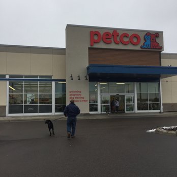 reptile fogging system