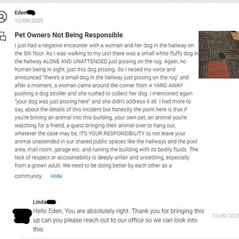 Jia Apartments - Dog poop Issues - Apartments Near Me - Los Angeles, California Jia Apartments - Dog poop Issues - Apartments Near Me - Los Angeles, California
