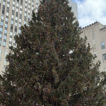 Rockefeller Center Christmas Tree - Christmas Trees Near Me - New York, New York Rockefeller Center Christmas Tree - Christmas Trees Near Me - New York, New York