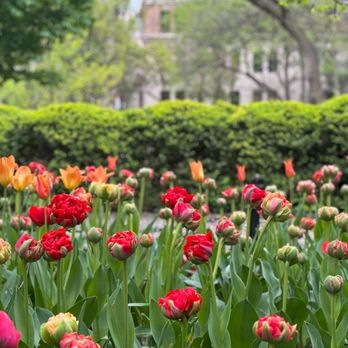 Gramercy Park - Flower colors - Parks Near Me - New York, New York Gramercy Park - Flower colors - Parks Near Me - New York, New York