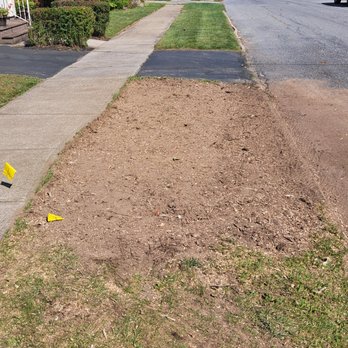 Grind Time - Tree Services Near Me - Johnstown, New York Grind Time - Tree Services Near Me - Johnstown, New York