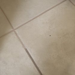 Top Notch Carpet Care