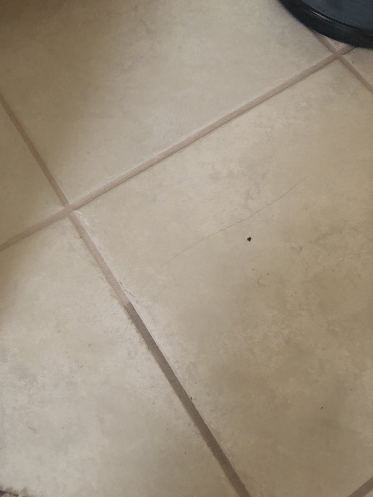 TOP NOTCH CARPET CARE Updated September 2024 10 Reviews 2580