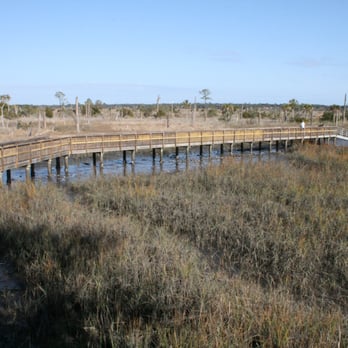 Castaway Island Preserve - Off-trail bridge that leads to the dock. - Hiking Near Me - Jacksonville, Florida Castaway Island Preserve - Off-trail bridge that leads to the dock. - Hiking Near Me - Jacksonville, Florida