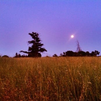 Knowland State Arboretum And Park - Late sunset view - Parks Near Me Knowland State Arboretum And Park - Late sunset view - Parks Near Me