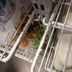 More mold where the milk and juices are