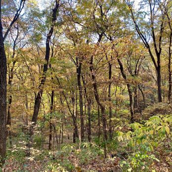 Maple Woods Natural Area - Parks Near Me - Gladstone, Missouri
