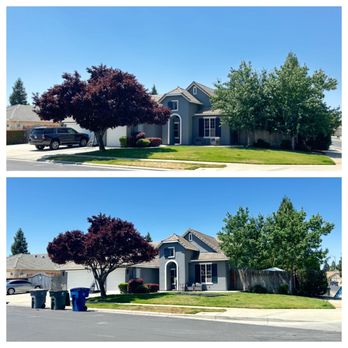 Trinity Tree Service - Before and After - Tree Services Near Me