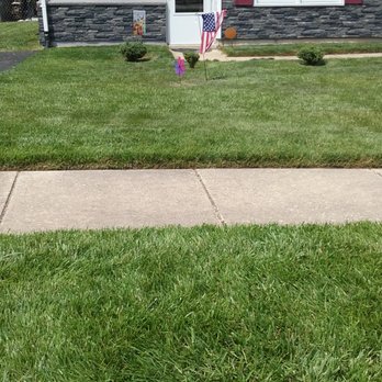 Royalty Cuts and Services - Current Customer, Wellington Drive - Landscaping Near Me - Newark, Delaware Royalty Cuts and Services - Current Customer, Wellington Drive - Landscaping Near Me - Newark, Delaware
