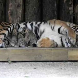 Tierpark Hamm