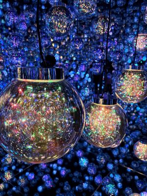 teamLab Borderless: MORI Building DIGITAL ART MUSEUM by null