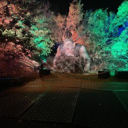 Harry Potter - A Forbidden Forest Experience