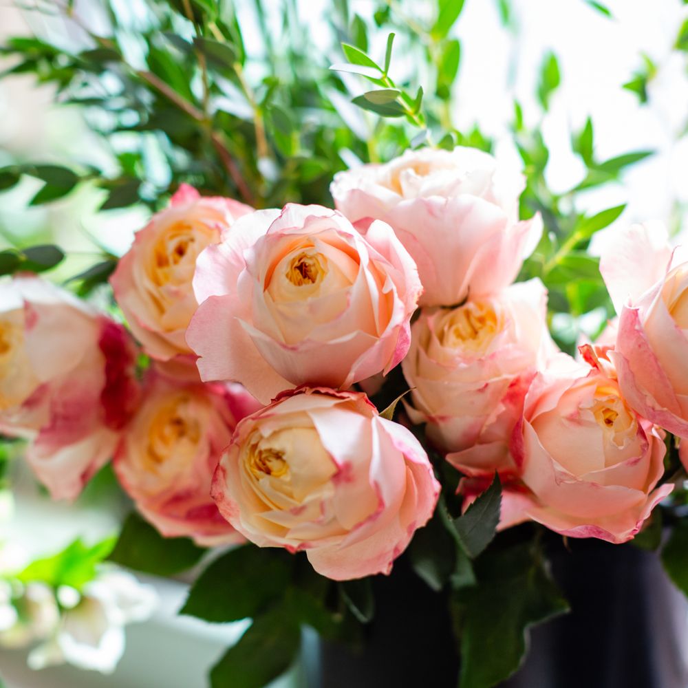 Flowers In Derry Nh Best Flower Site