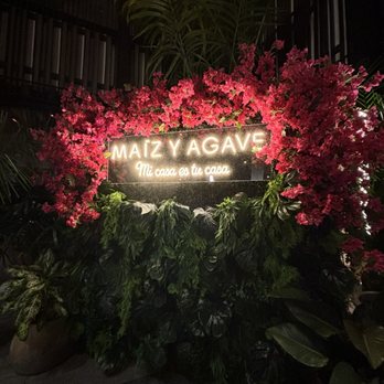 Maiz y Agave - Mexican Near Me - Miami, Florida Maiz y Agave - Mexican Near Me - Miami, Florida