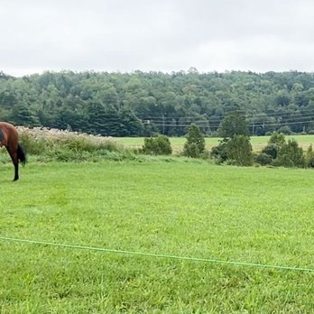 Long Acre Farm - Horseback Riding Near Me - Fairfield, Maine Long Acre Farm - Horseback Riding Near Me - Fairfield, Maine