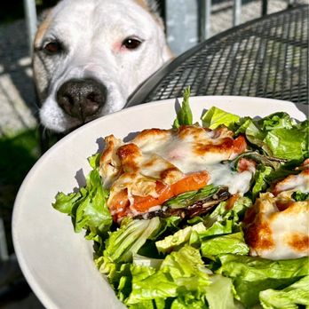 Bottoms Up Pizza - Frankie eyeing my Signature Portabella Mushroom Pizzas! - Pizza Near Me - Richmond, Virginia Bottoms Up Pizza - Frankie eyeing my Signature Portabella Mushroom Pizzas! - Pizza Near Me - Richmond, Virginia