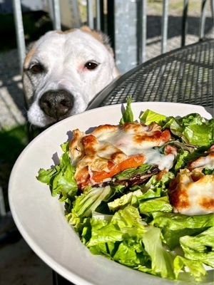 Bottoms Up Pizza by null
