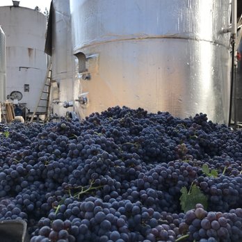 Boeger Winery - Wineries Near Me - Placerville, California