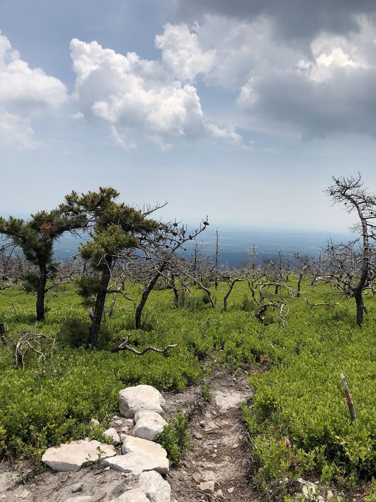 VERKEERDERKILL FALLS Updated September 2024 29 Photos & 12 Reviews