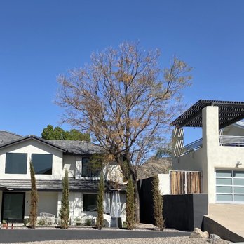 Tree Pros - Tree removal - Tree Services Near Me - Phoenix, Arizona
