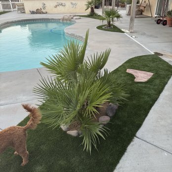 Mojave Curb and Turf - Landscaping Near Me Mojave Curb and Turf - Landscaping Near Me