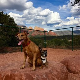 A super cool place ! Happy paws ...nature walks / paths for the dogs & awesome views for their best friends ! A super cool place ! Happy paws ...nature walks / paths for the dogs & awesome views for their best friends !