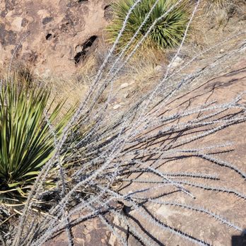 Hueco Tanks State Historic Site - Hiking Near Me - El Paso, Texas Hueco Tanks State Historic Site - Hiking Near Me - El Paso, Texas